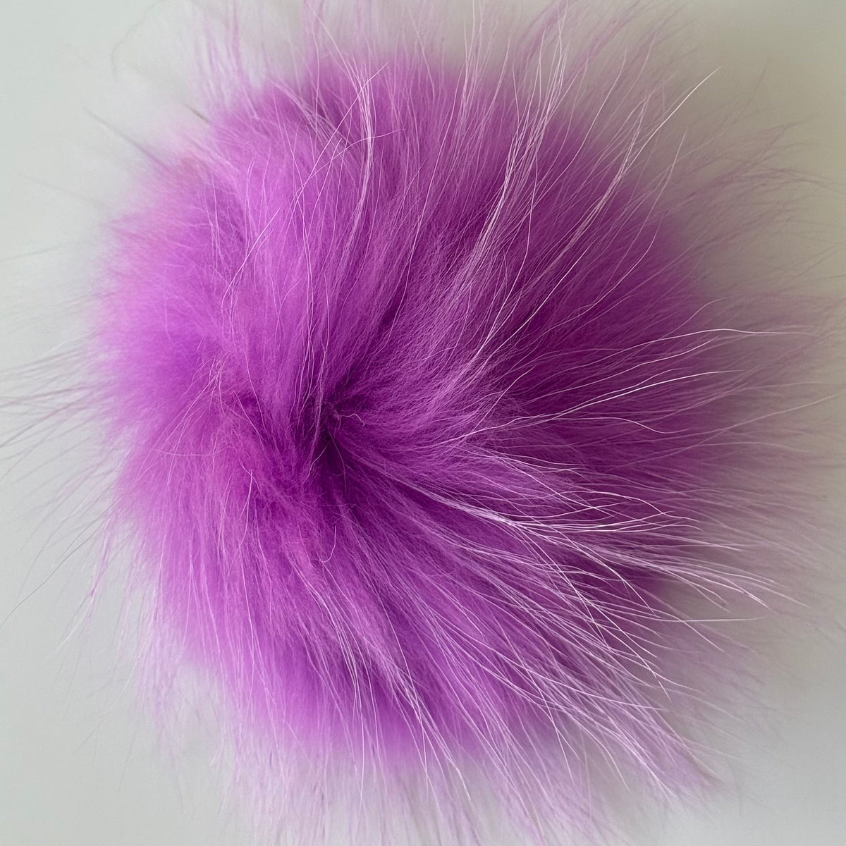 violet XL Pom