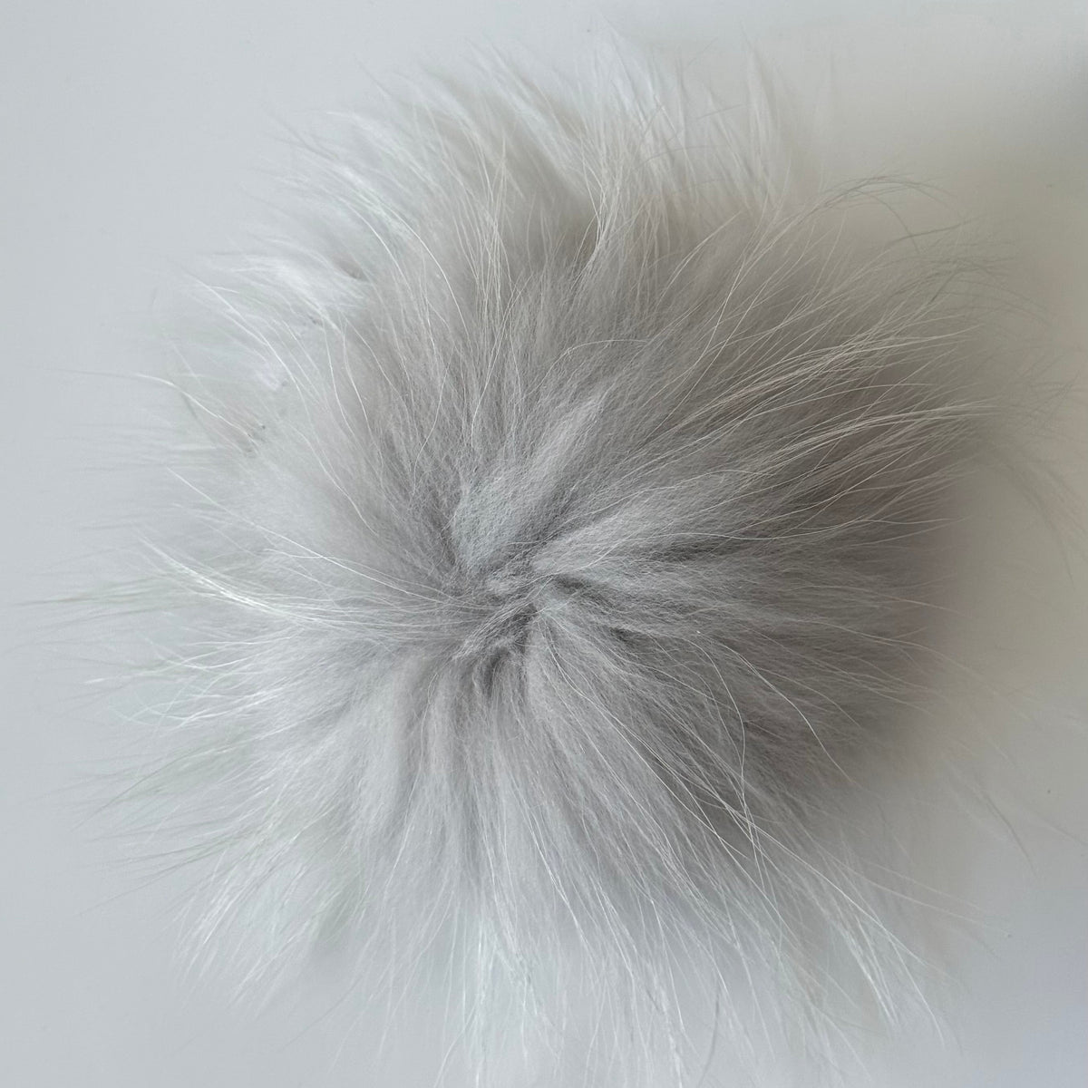 light grey XL Pom