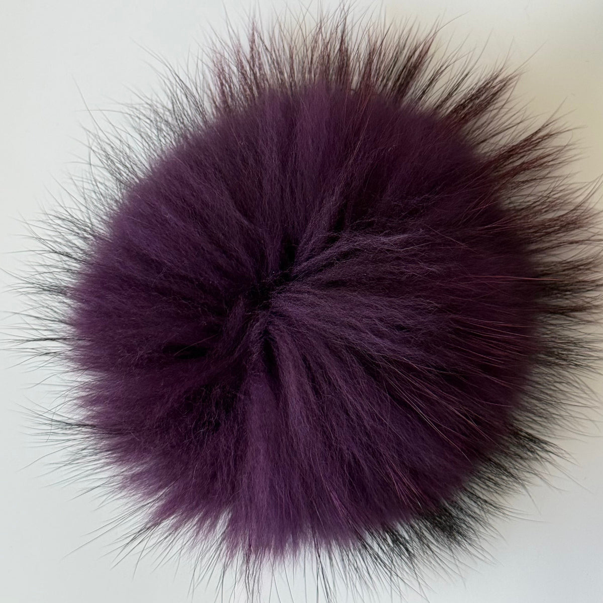 eggplant XL Pom