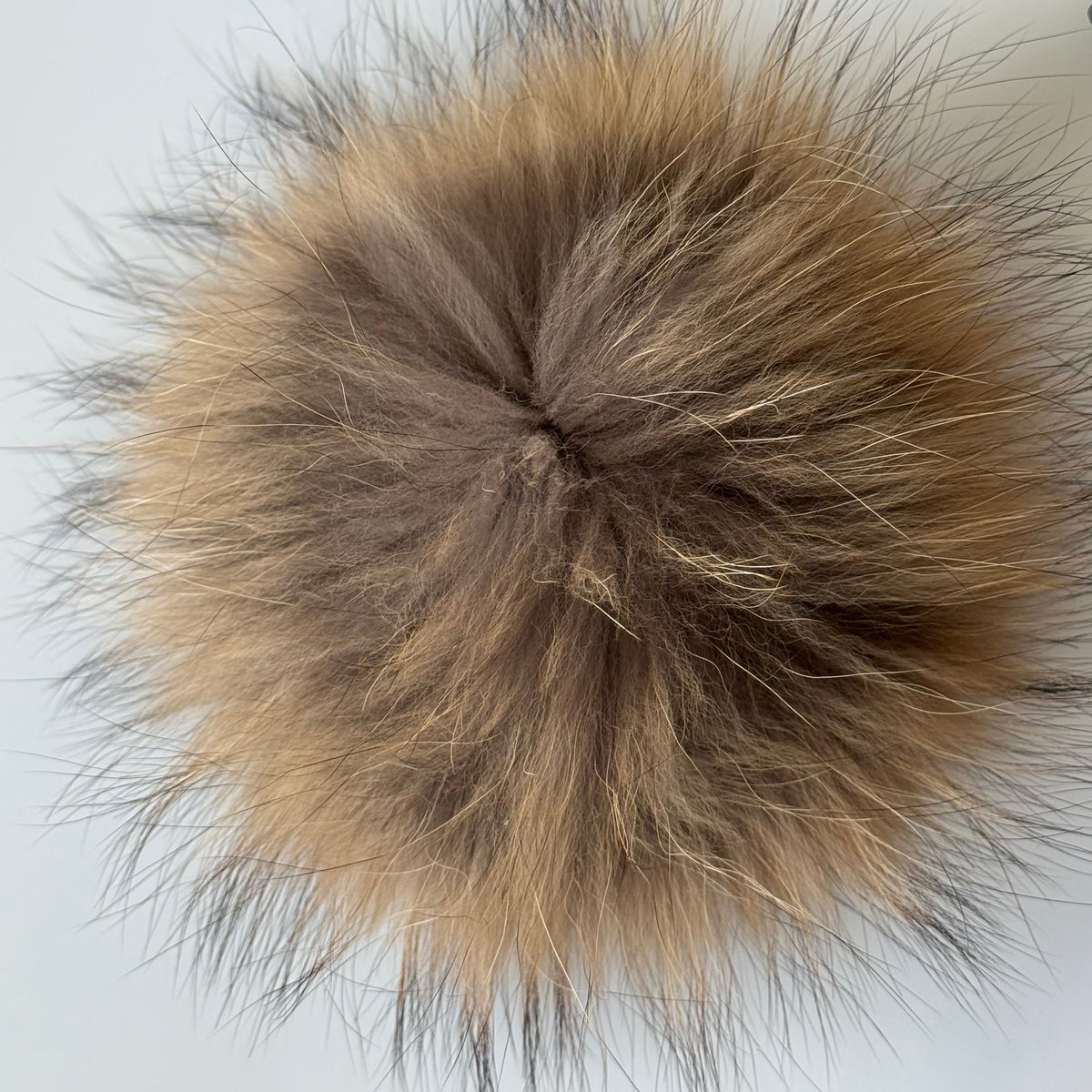 foxy XL Pom