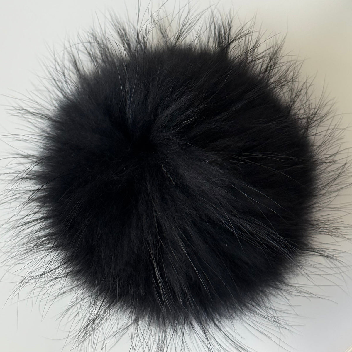 black XL Pom