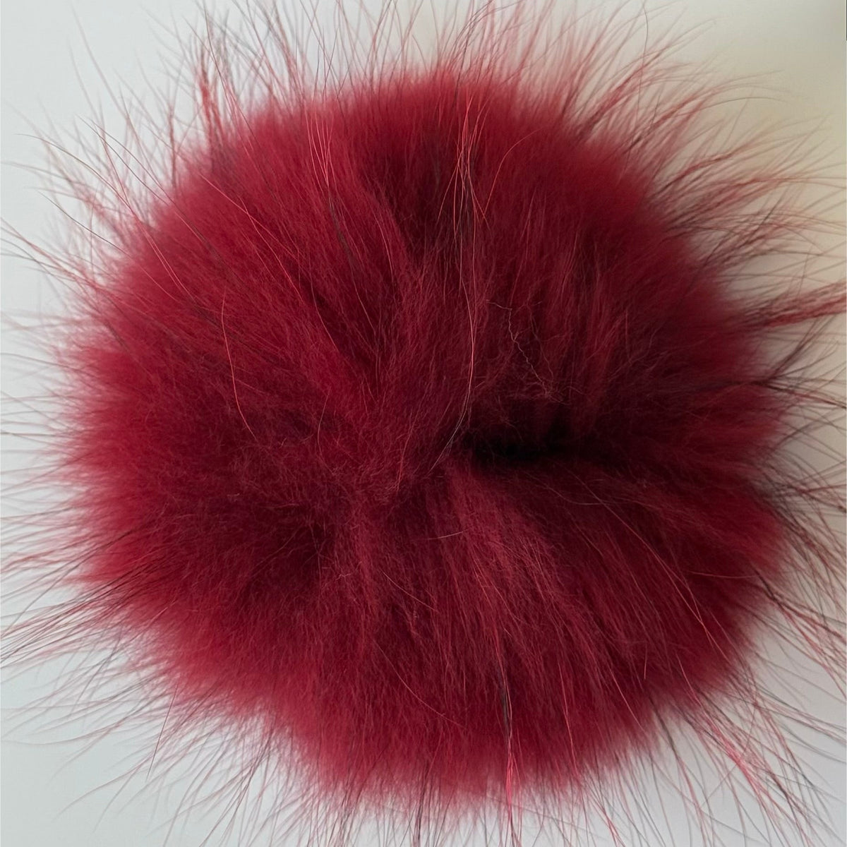 red XL Pom