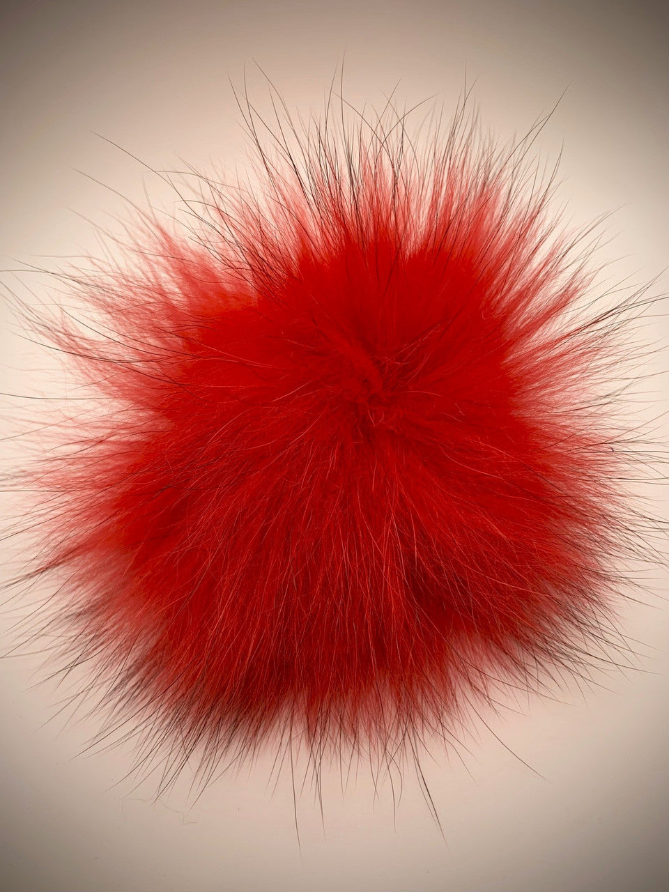 bright red XL Pom
