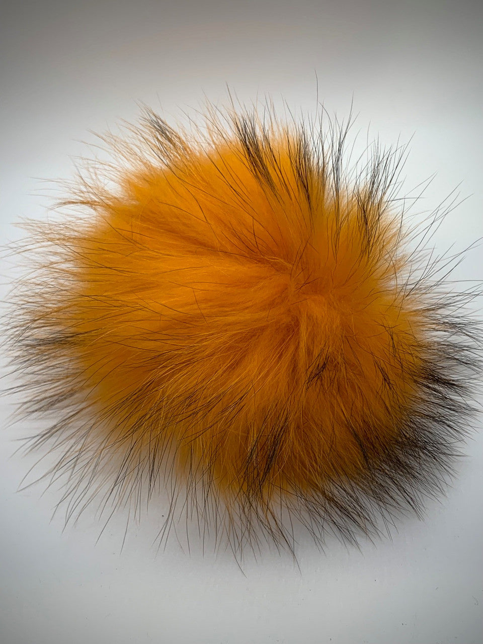 orange XL Pom