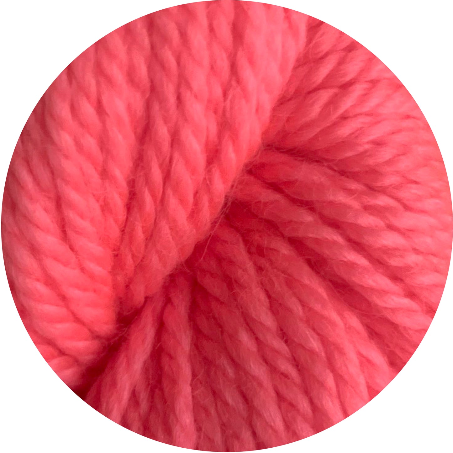 fruit loop weepaca / worsted