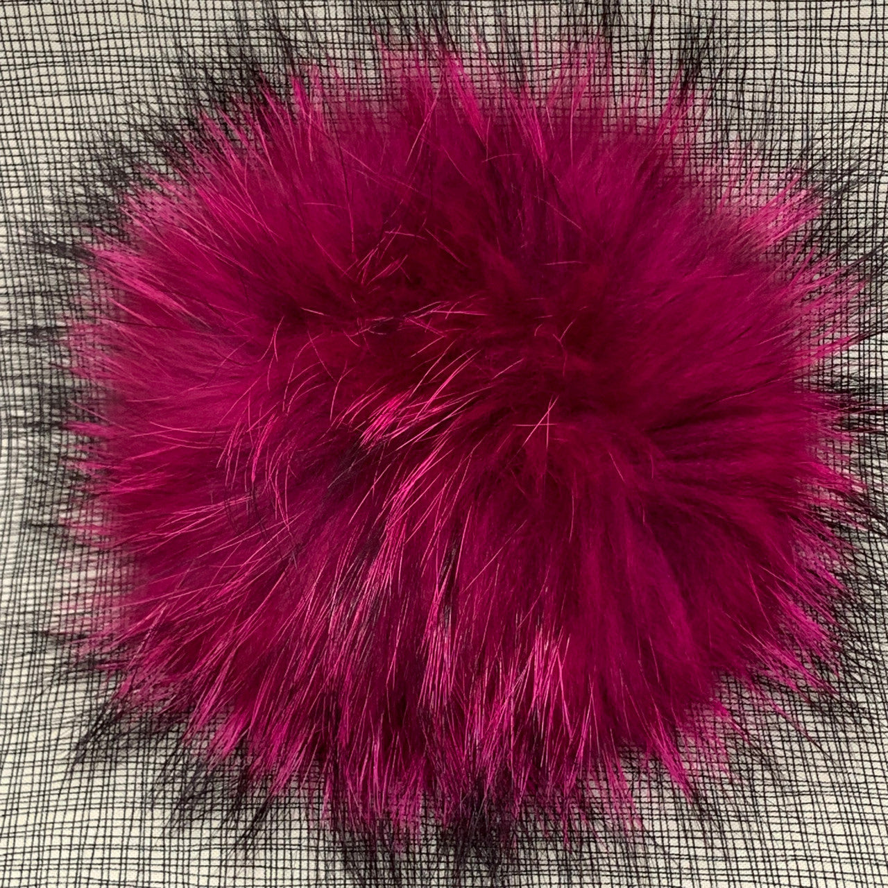 hot pink XL Pom - carded