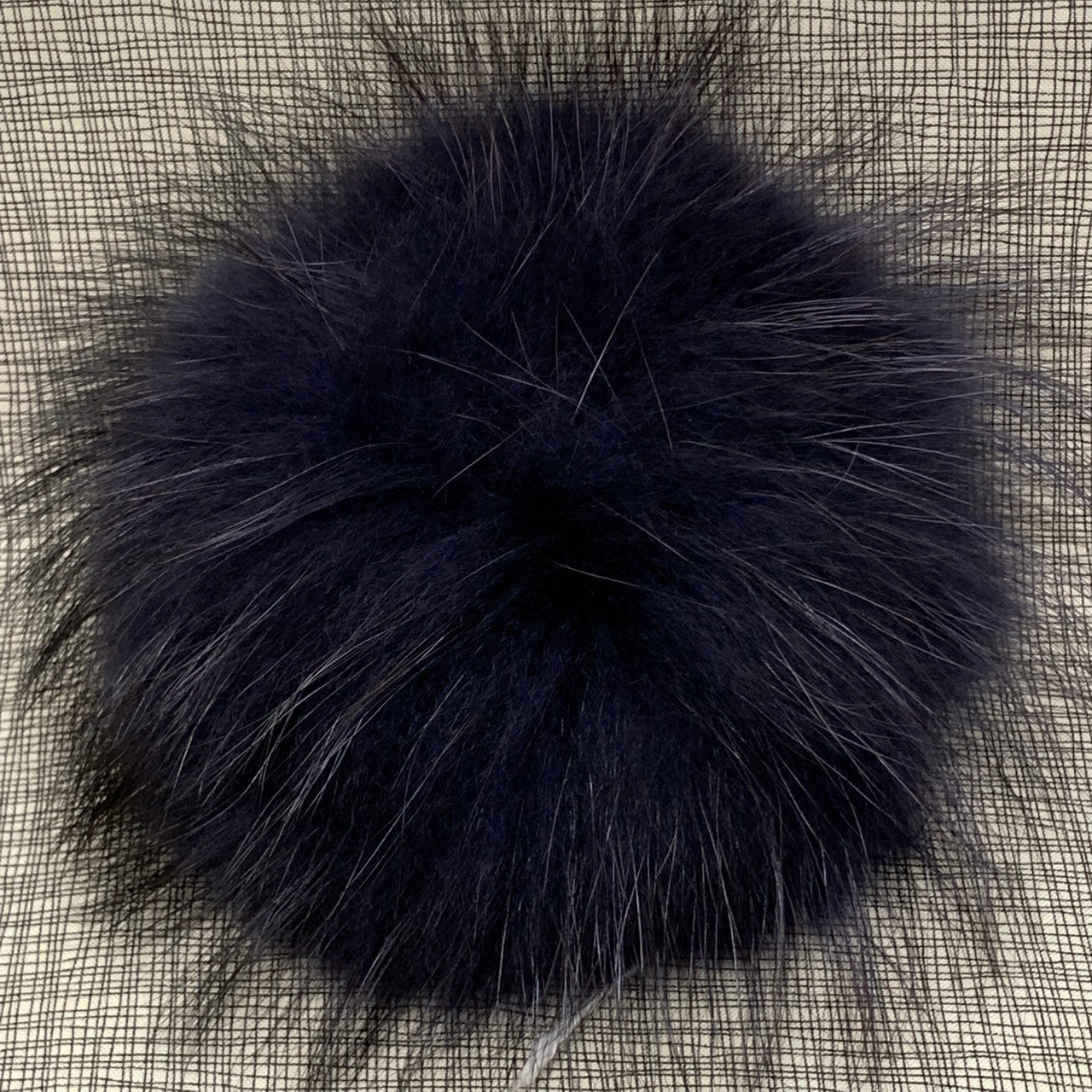 periwinkle XL Pom