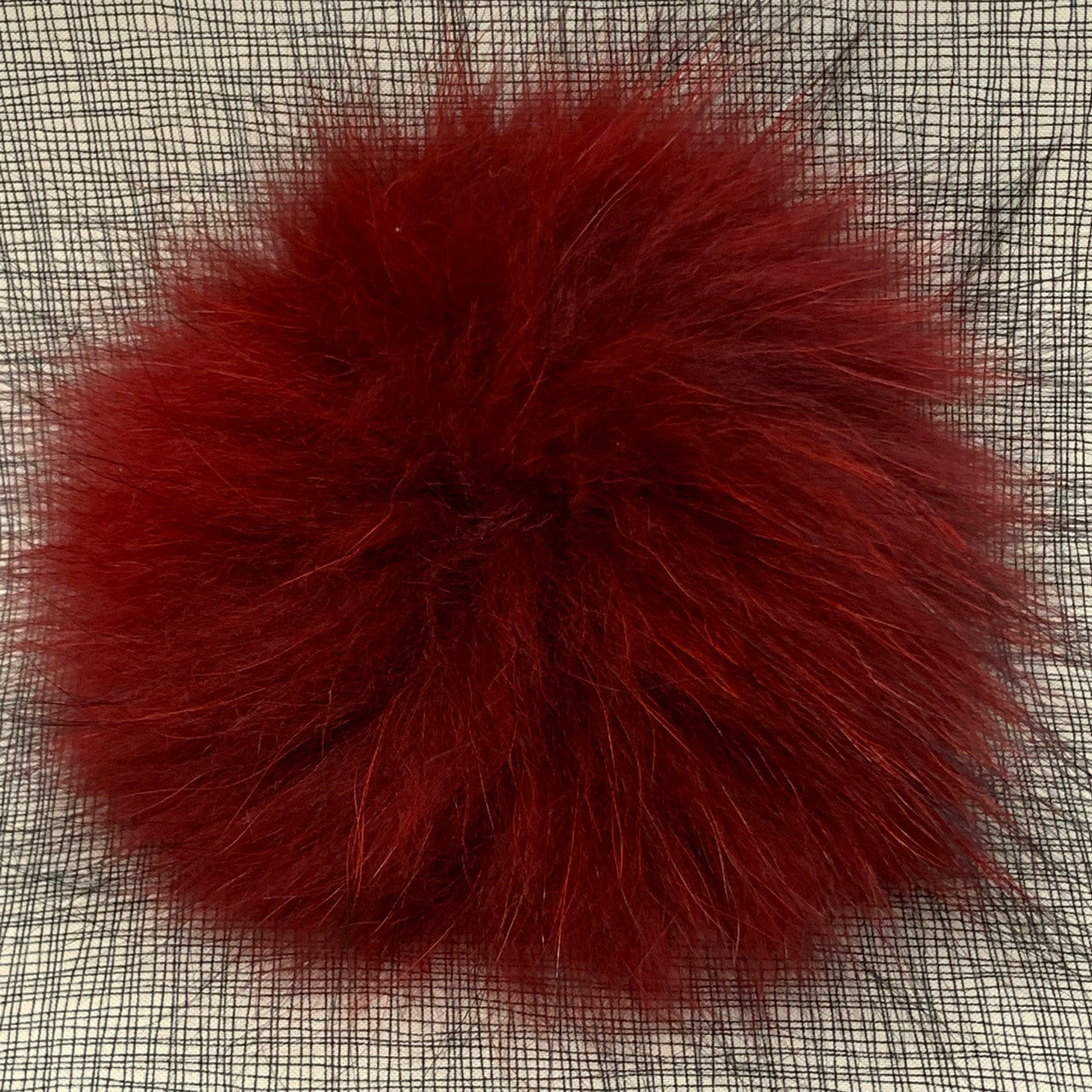 red XL Pom