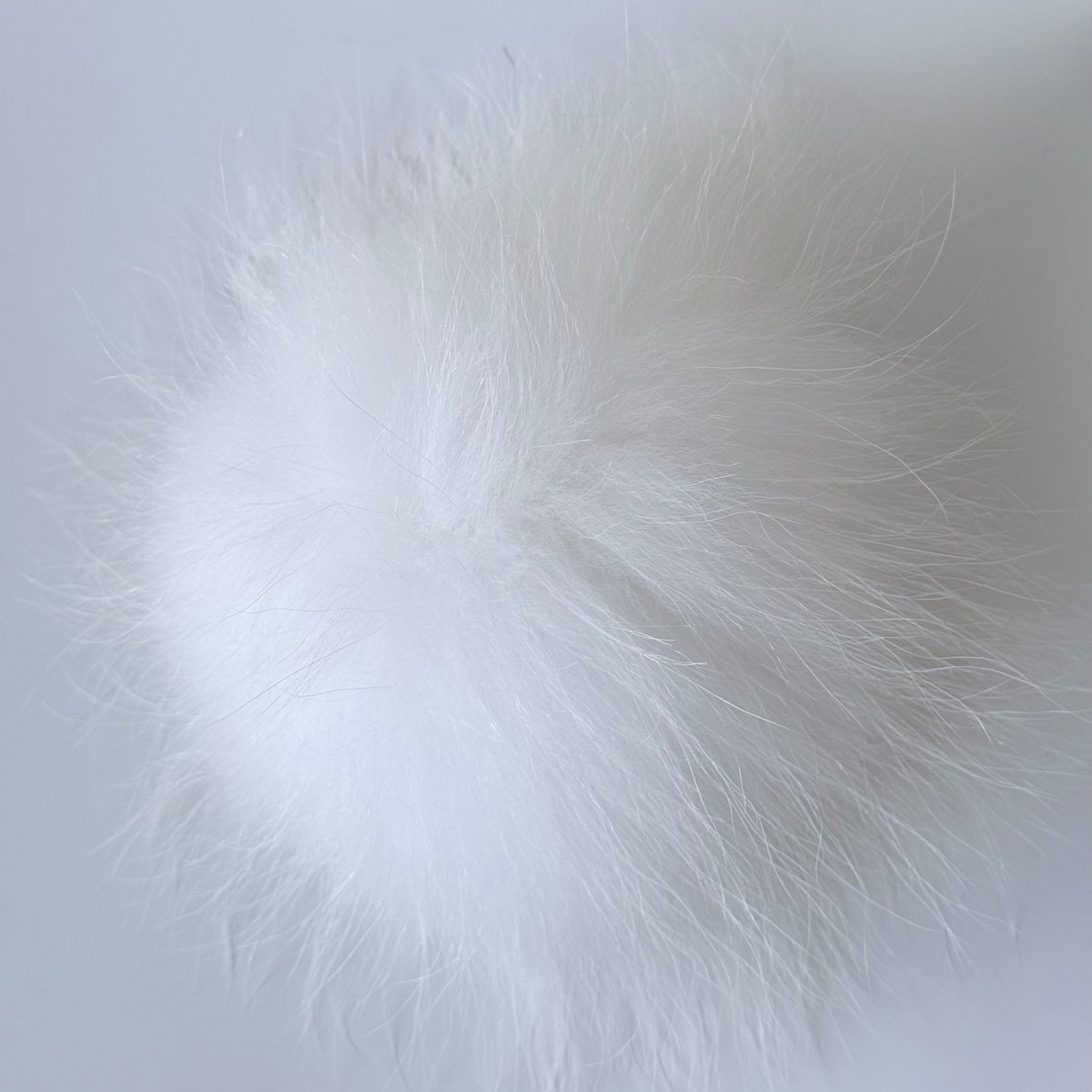 white XL Pom