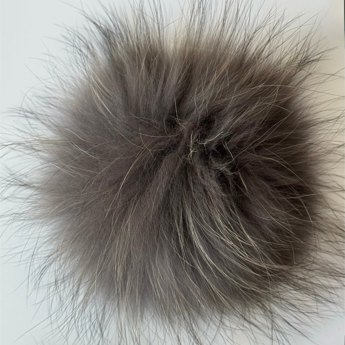 grey XL Pom