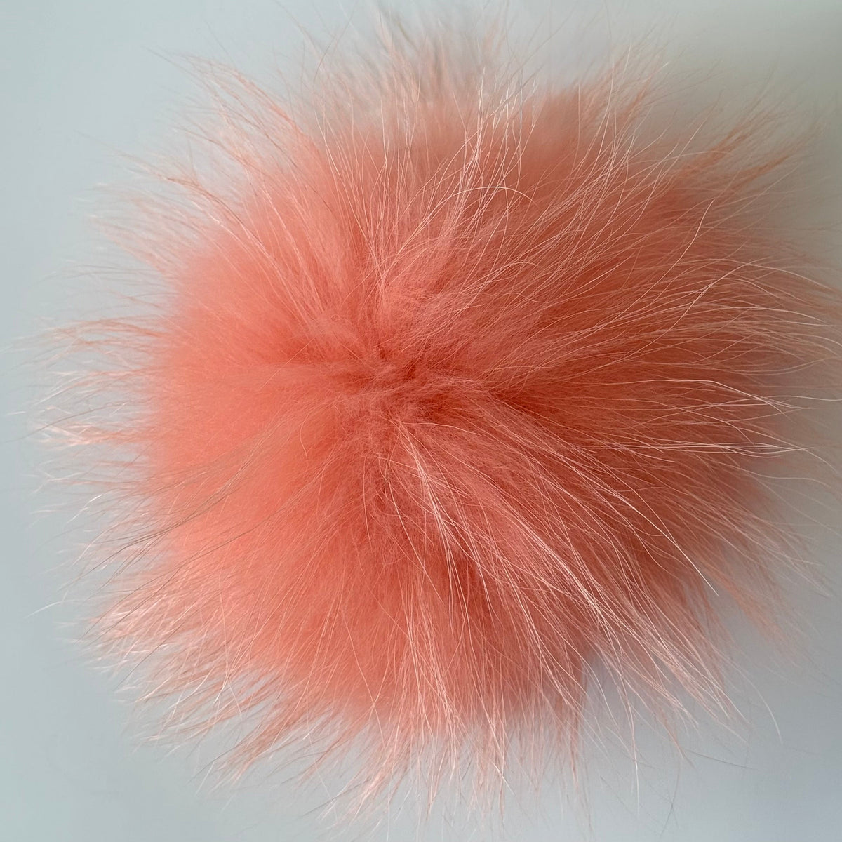 coral XL Pom