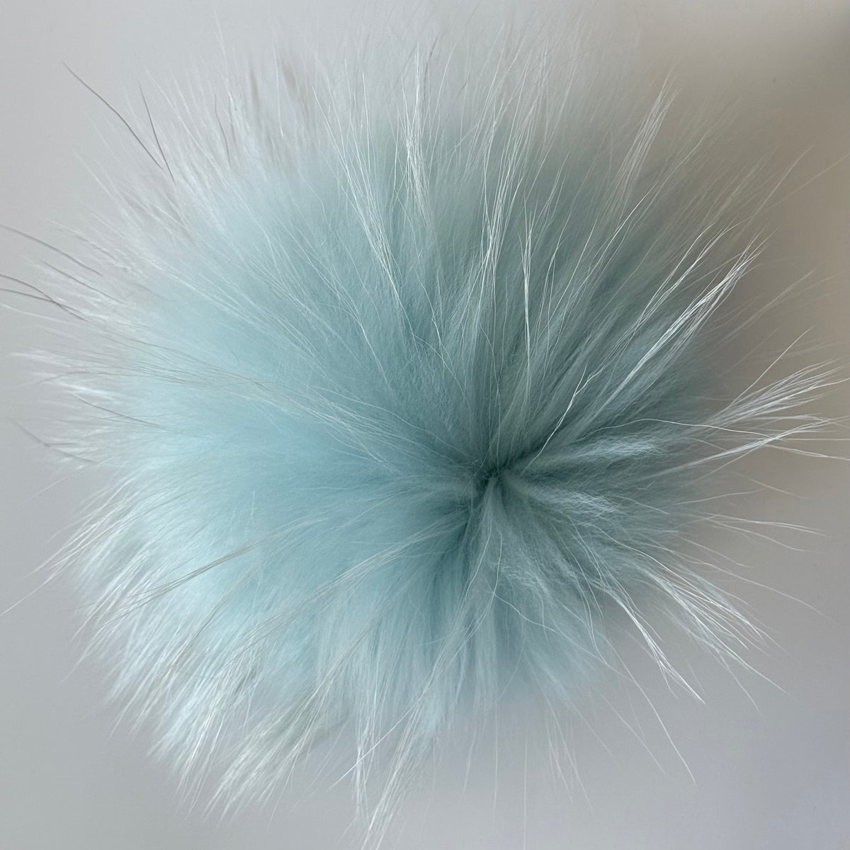 icy blue XL Pom