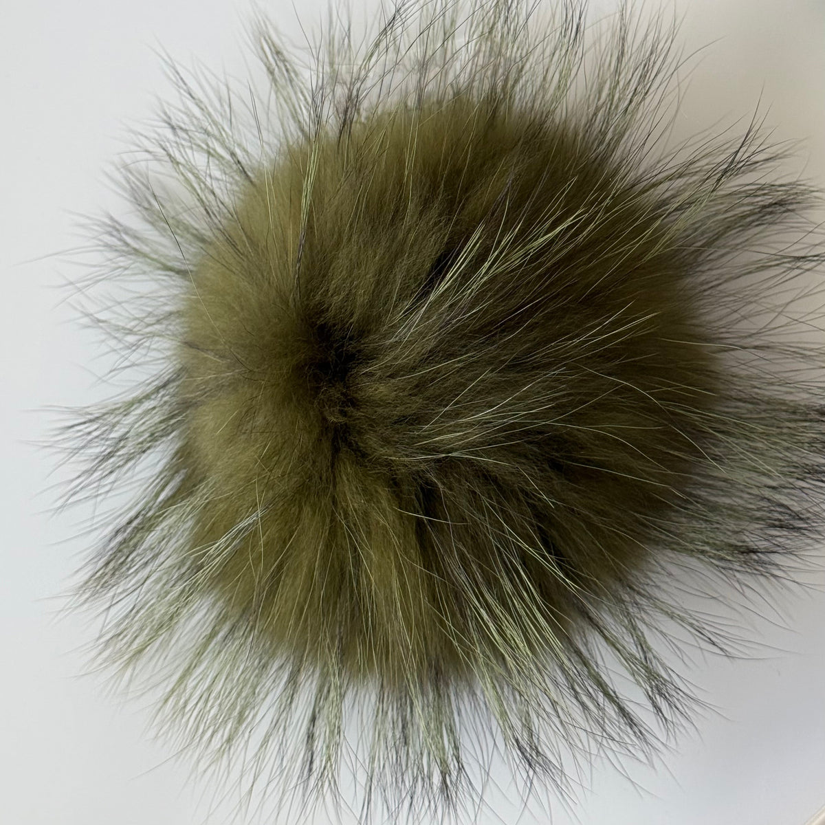 olive XL Pom
