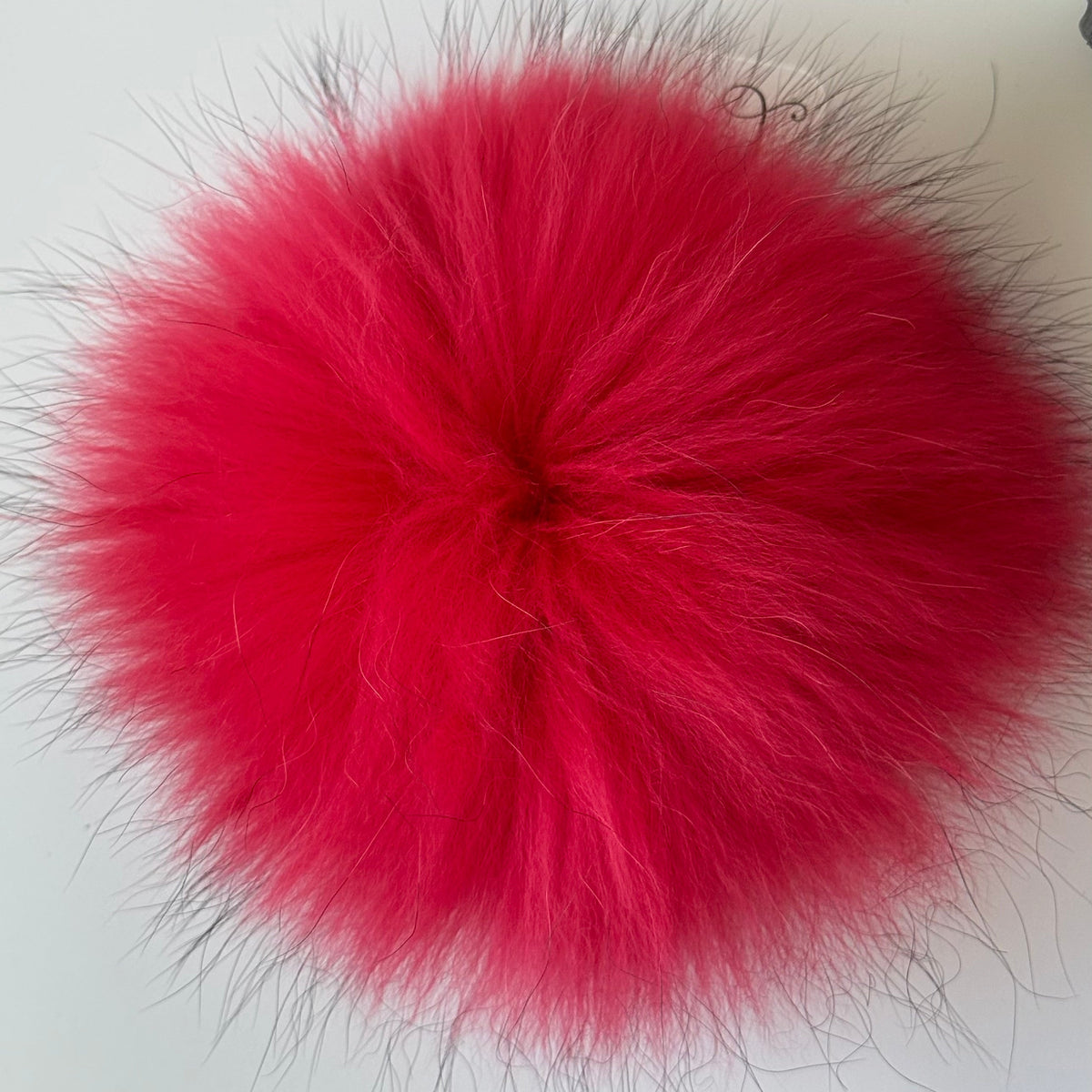 bright red XL Pom