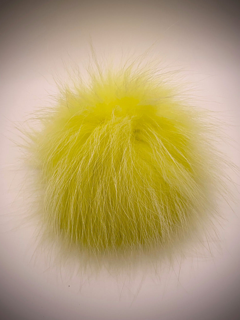 light yellow XL Pom