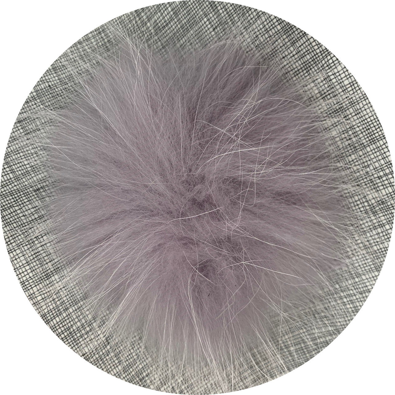 lilac XL Pom