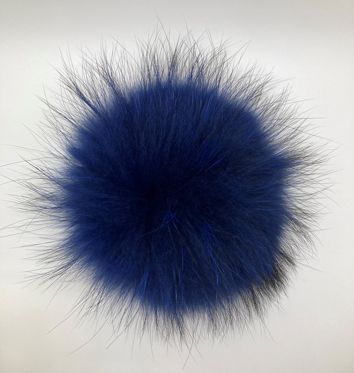 blue XL Pom