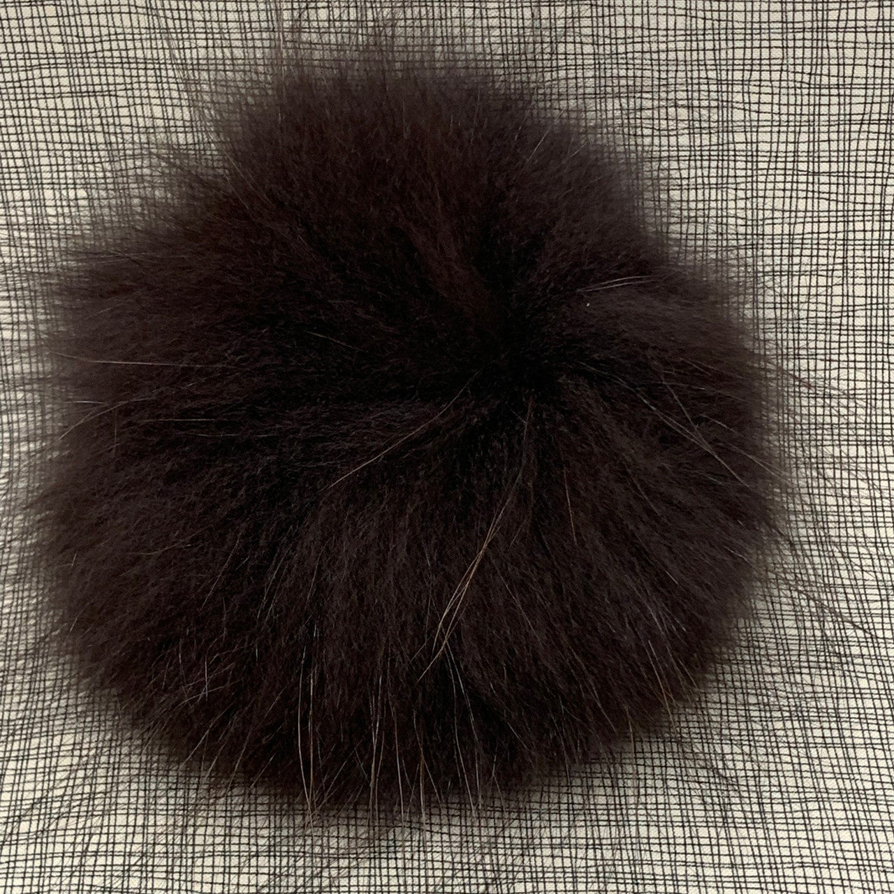 coco XL Pom