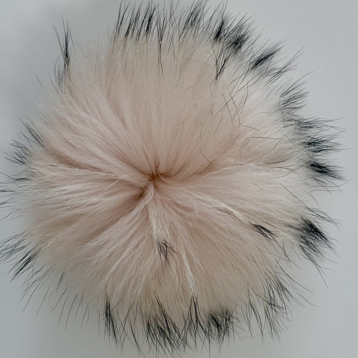 pale pink XL Pom