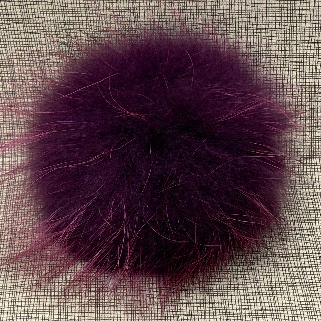 eggplant XL Pom