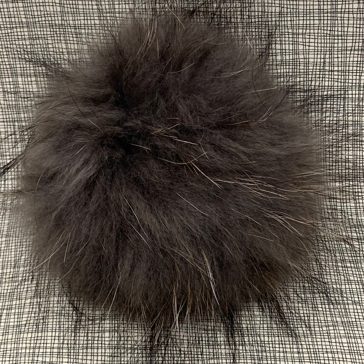grey XL Pom - carded
