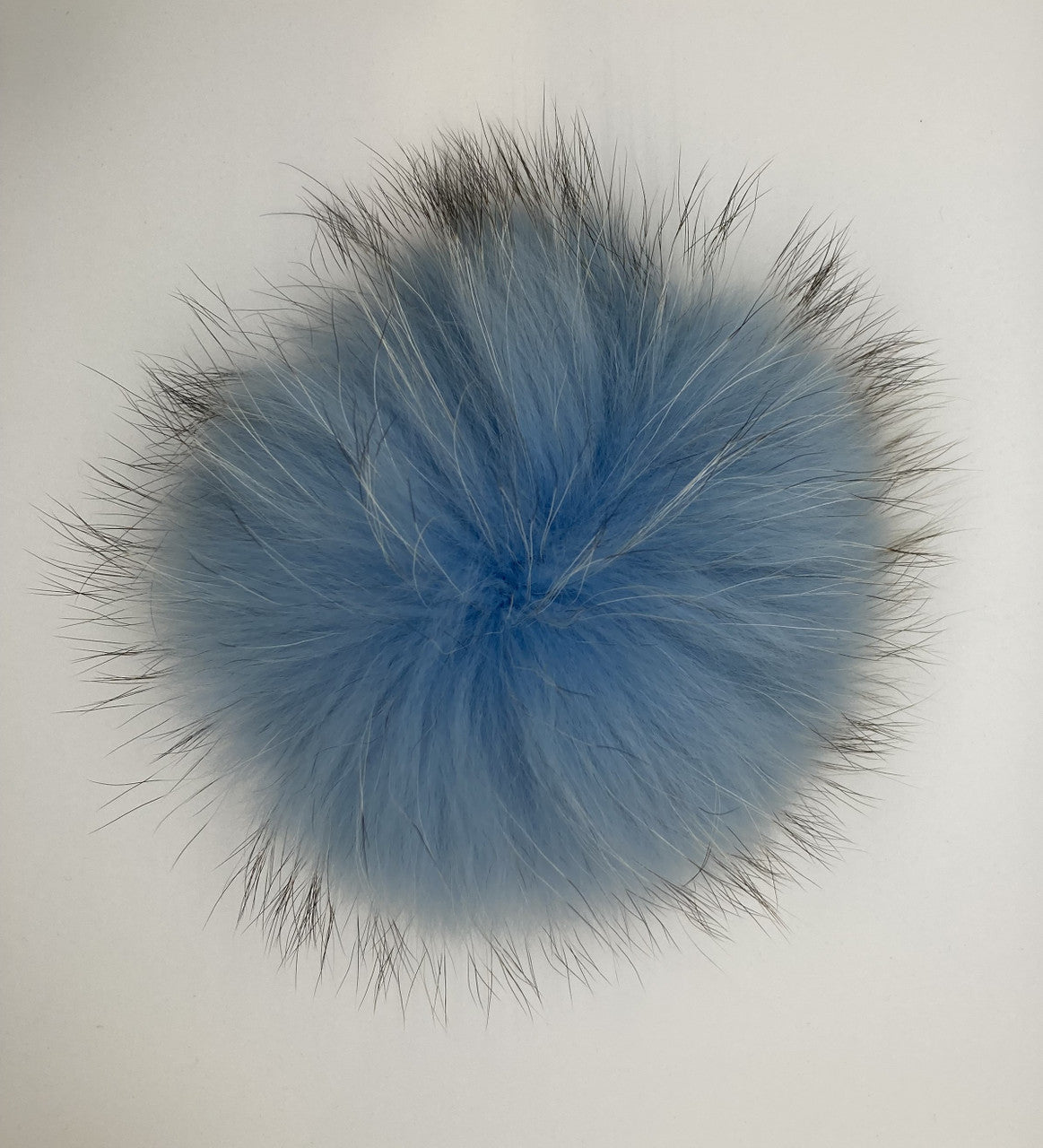 lake blue XL Pom