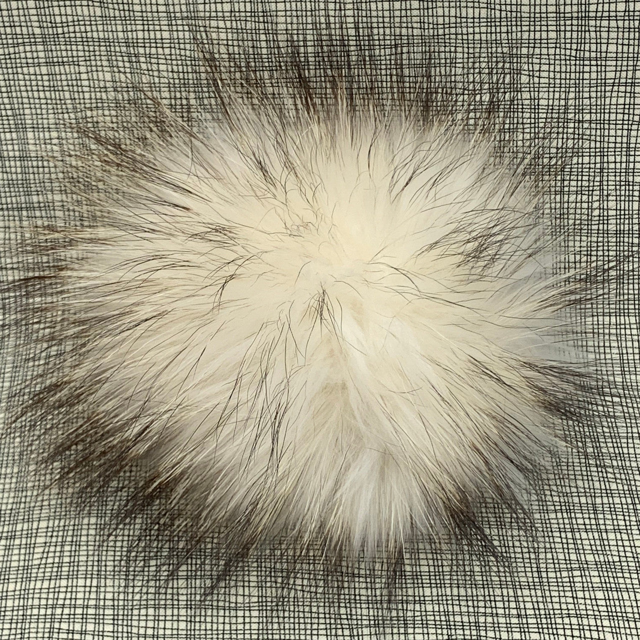 natural XL Pom