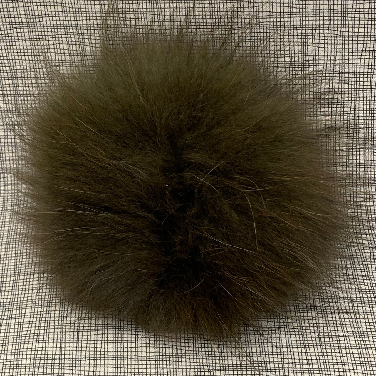 olive XL Pom