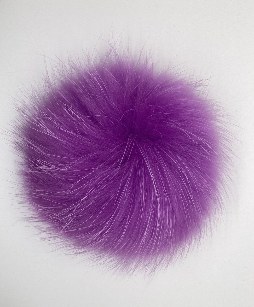 violet XL Pom