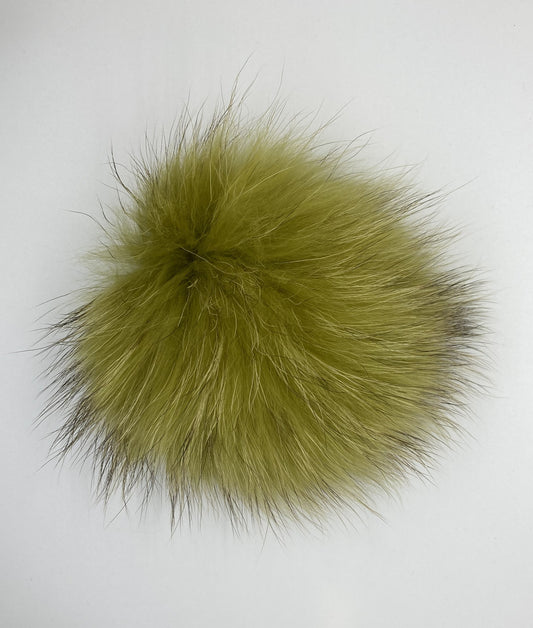 wasabi XL Pom